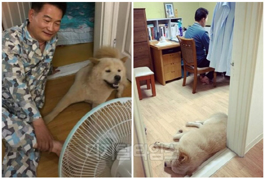 송영길 전 더불어민주당(현 소나무당) 대표의 자택 내부 모습이 담긴 사진들. [송영길 SNS, 온라인 커뮤니티]